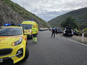 Despliegue de medios en el simulacro de incendio forestal en Moya
