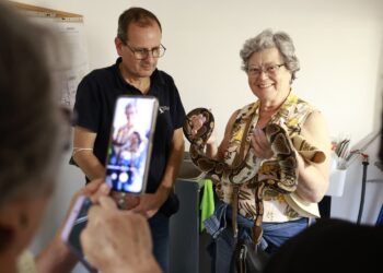 Bienestar Social promueve que las personas mayores se involucren en la mejora del bienestar animal y medio ambiente