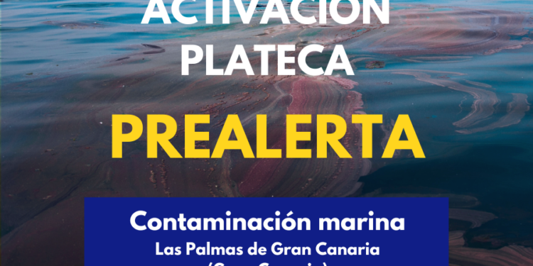 El Gobierno de Canarias declara la prealerta por posible episodio de contaminación marina