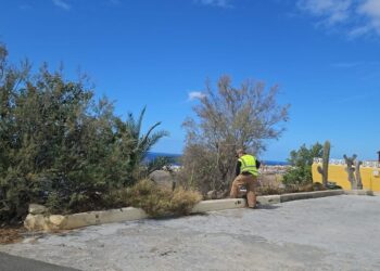 Limpieza en uno de los barrios