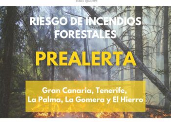 El Gobierno de Canarias declara la prealerta por incendios forestales en islas occidentales y Gran Canaria