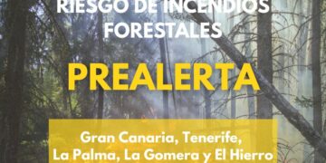 El Gobierno de Canarias declara la prealerta por incendios forestales en islas occidentales y Gran Canaria