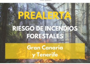 El Gobierno de Canarias declara la prealerta por incendios forestales en Tenerife y Gran Canaria