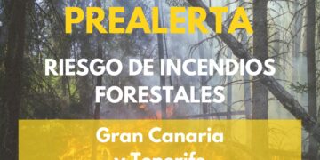 El Gobierno de Canarias declara la prealerta por incendios forestales en Tenerife y Gran Canaria