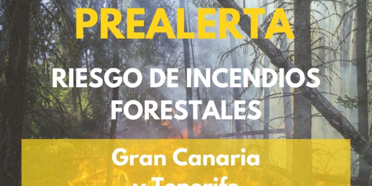 El Gobierno de Canarias declara la prealerta por incendios forestales en Tenerife y Gran Canaria