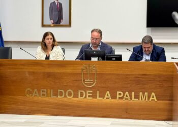 La Palma consolida el descenso de la siniestralidad laboral durante 2025 y el primer trimestre de este año