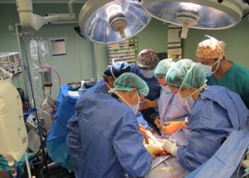 El seguimiento de la huelga nacional de médicos en las instituciones sanitarias del SCS es de un 9,69 por ciento