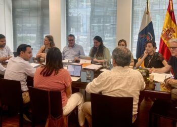 Canarias advierte que España no defiende ante la UE todas las reivindicaciones de las RUP sobre el POSEI