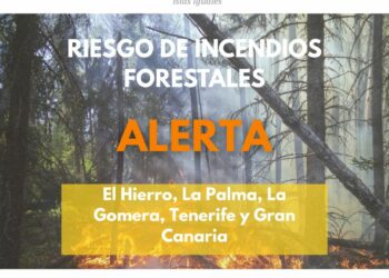 El Gobierno actualiza a alerta por riesgo de incendio forestal a la provincia occidental y Gran Canaria