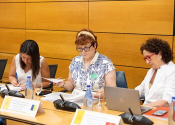 Canarias sigue reclamando al Estado la financiación de la dependencia acorde al esfuerzo realizado por la comunidad