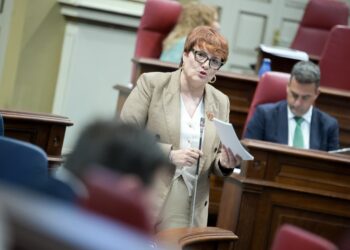 Delgado reitera que los proyectos contra la violencia de género se ejecutan a la espera de la transferencia estatal
