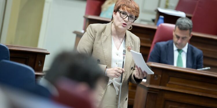 Delgado reitera que los proyectos contra la violencia de género se ejecutan a la espera de la transferencia estatal