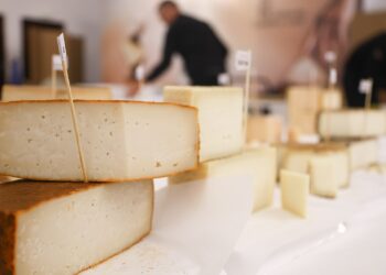 Cinco quesos canarios, premiados en los Cincho Cheese Awards 2026