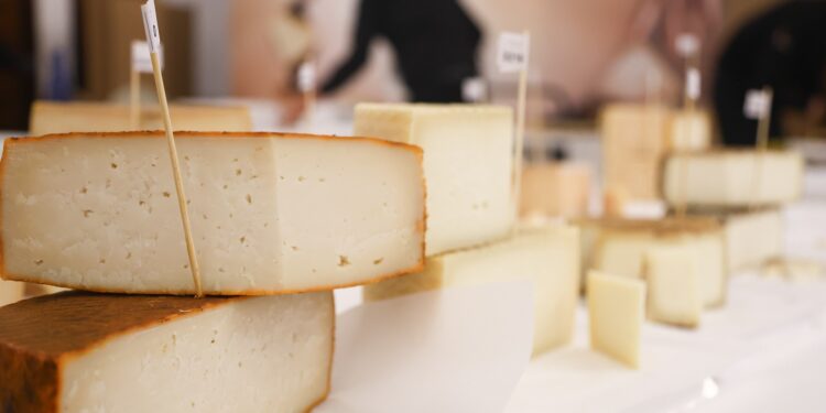 Cinco quesos canarios, premiados en los Cincho Cheese Awards 2026