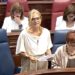 Sanidad comienza la elaboración de la Estrategia Oncológica de Canarias 2026-2032