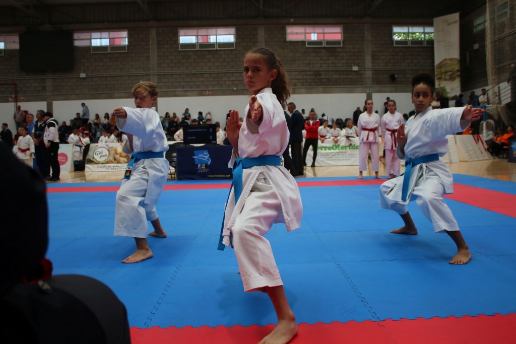 foto-400-jovenes-disputan-las-finales-acuaticas-y-de-karate-de-los-campeonatos-de-canarias-en-edad-escolar-5-1024x683-1