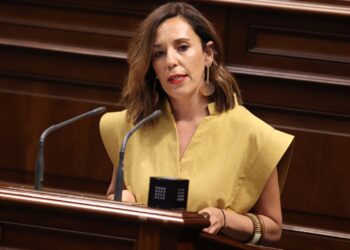 La Consejería de Turismo se compromete a modificar la Ley del Turismo de Canarias y a ofrecer garantía jurídica