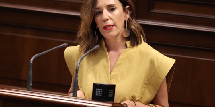 La Consejería de Turismo se compromete a modificar la Ley del Turismo de Canarias y a ofrecer garantía jurídica