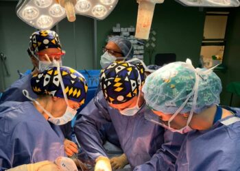 Canarias registra 62 donantes de órganos en lo que va de año y un incremento del diecisiete por ciento