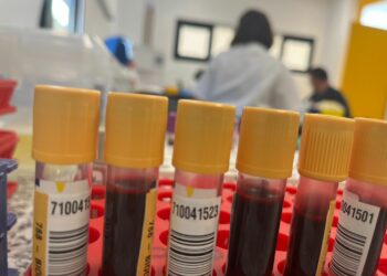 Sanidad comienza a administrar la terapia génica para la Hemofilia B