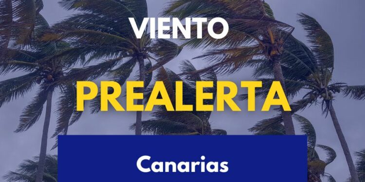 El Gobierno de Canarias declara la prealerta por viento en el archipiélago