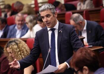 Quintero anuncia una nueva ayuda para paliar los efectos de la sequía en la viticultura canaria