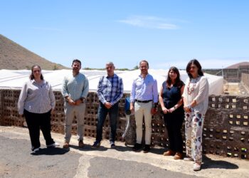 Una instalación fotovoltaica en un invernadero experimental del ICIA en Güímar impulsará la agricultura sostenible