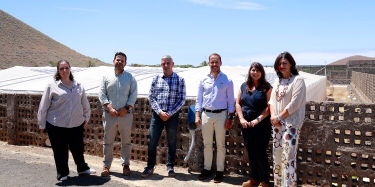 Una instalación fotovoltaica en un invernadero experimental del ICIA en Güímar impulsará la agricultura sostenible
