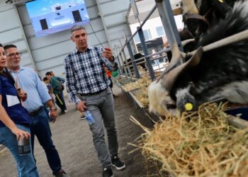 Las explotaciones ganaderas en Canarias se incrementaron en un 5,1% en 2025 respecto al año anterior