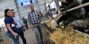 Las explotaciones ganaderas en Canarias se incrementaron en un 5,1% en 2025 respecto al año anterior