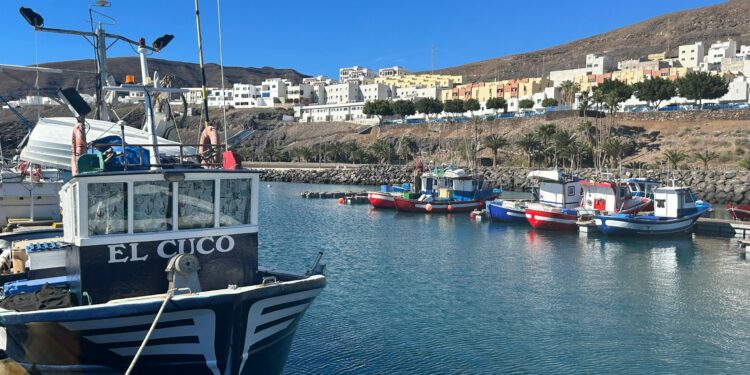 El Gobierno de Canarias concede ayudas por 1,19M€ a las Cofradías de Pescadores para sufragar sus gastos corrientes
