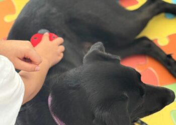 El Hospital Materno Infantil tiene en marcha el proyecto de terapia asistida con perros ‘Amigos con patas’