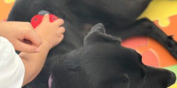 El Hospital Materno Infantil tiene en marcha el proyecto de terapia asistida con perros ‘Amigos con patas’