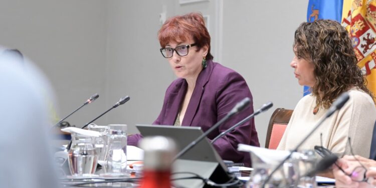 Los centros de crisis contra la violencia sexual se convierten, en un año, en referente para mujeres agredidas