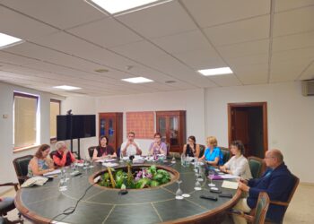 Espaldarazo del Consejo General de Servicios Sociales a la futura Ley Canaria de Infancia y Adolescencia