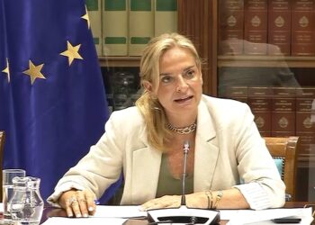 Monzón informa de que casi 40.000 personas cuentan con tarjeta sanitaria AA para facilitar la accesibilidad
