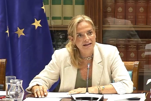 Monzón informa de que casi 40.000 personas cuentan con tarjeta sanitaria AA para facilitar la accesibilidad