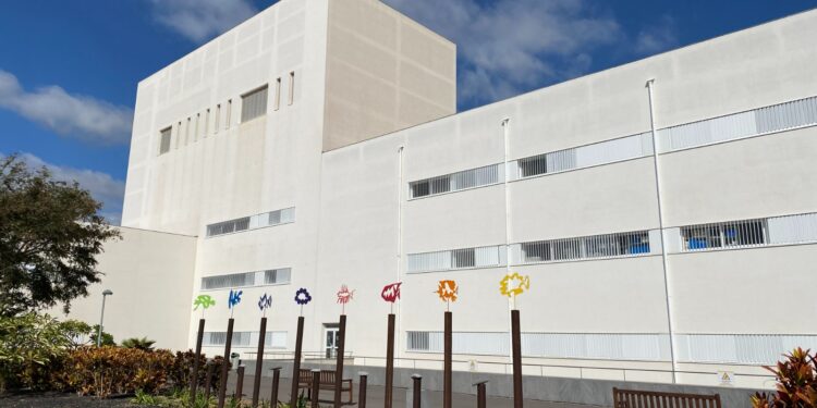 Sanidad adjudica la redacción del proyecto de ampliación del Hospital del Sur de Tenerife por un millón de euros