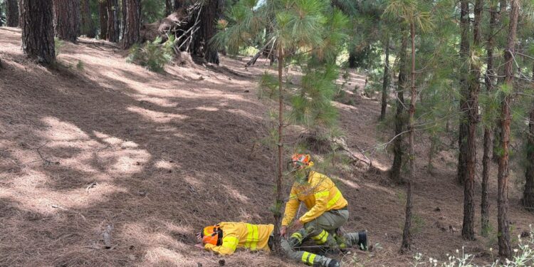 La ESSSCAN forma a bomberos forestales de La Palma en atención a personas víctimas de emergencias