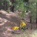La ESSSCAN forma a bomberos forestales de La Palma en atención a personas víctimas de emergencias