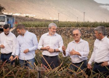 Clavijo reafirma el compromiso del Gobierno de Canarias con la recuperación de la piña tropical de El Hierro
