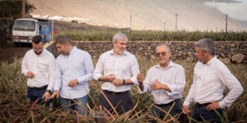 Clavijo reafirma el compromiso del Gobierno de Canarias con la recuperación de la piña tropical de El Hierro