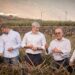 Clavijo reafirma el compromiso del Gobierno de Canarias con la recuperación de la piña tropical de El Hierro