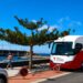 El SCS traslada esta semana un equipo de extracción a la isla de El Hierro