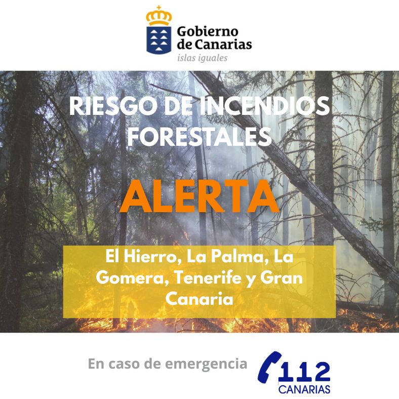 2-Cartelas-INFOCA