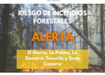 El Gobierno de Canarias actualiza la situación pasando a alerta por riesgo de incendios forestales en Gran Canaria
