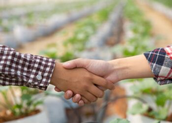 El Gobierno de Canarias respalda con 350.000€ la labor de 14 asociaciones profesionales agrarias
