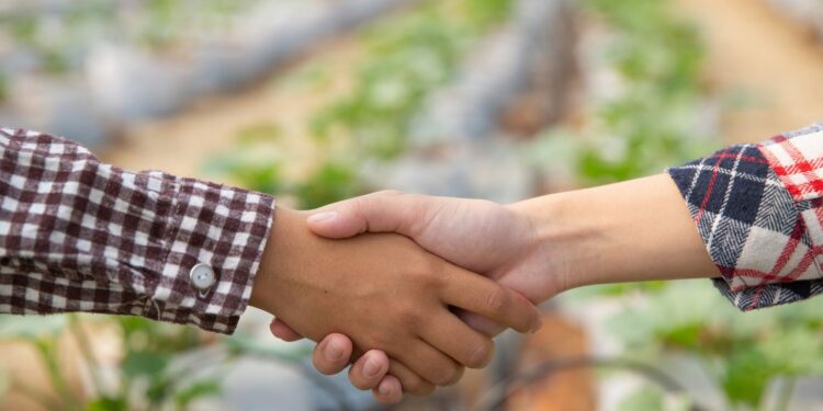 El Gobierno de Canarias respalda con 350.000€ la labor de 14 asociaciones profesionales agrarias