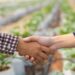 El Gobierno de Canarias respalda con 350.000€ la labor de 14 asociaciones profesionales agrarias