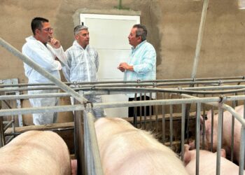 El Gobierno de Canarias concede ayudas PEPAC para modernizar 55 explotaciones ganaderas